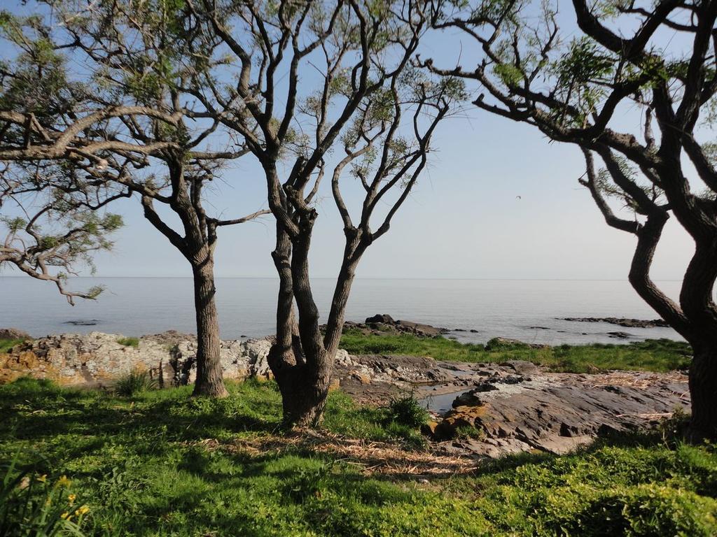 Bajo El Faro Villa Colonia del Sacramento Exteriör bild